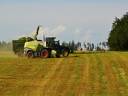 obr