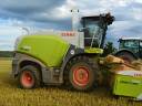 obr